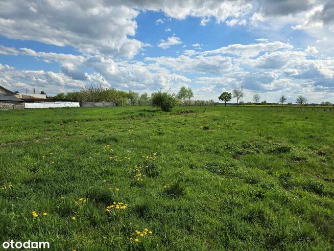 Działka budowlana w Dryżynie - blisko Głogowa!
