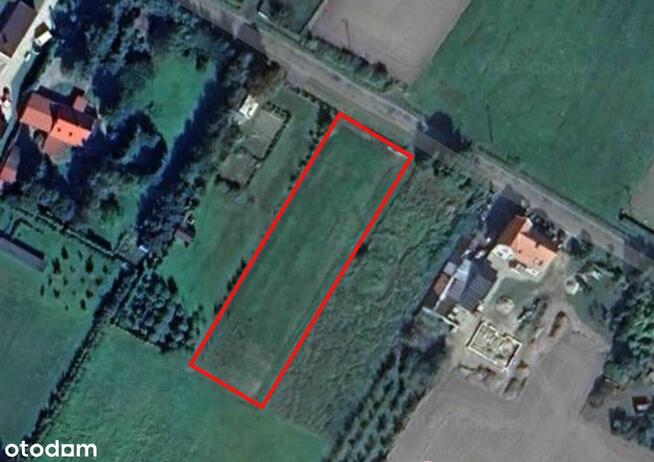 Działka budowlana w Dryżynie - blisko Głogowa!