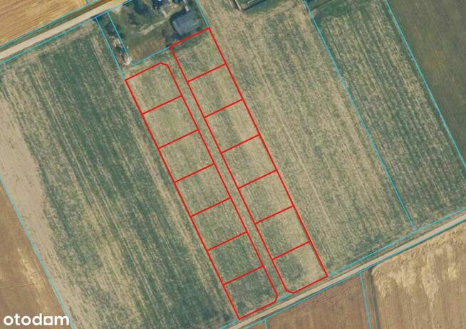 Piękne działki w Kaszczorze, blisko Jeziora Wieleńskiego