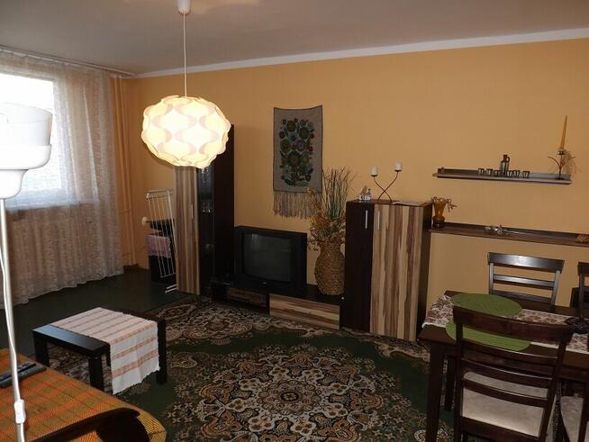 Sosnowiec, ul. Legionów, mieszkanie na wynajem