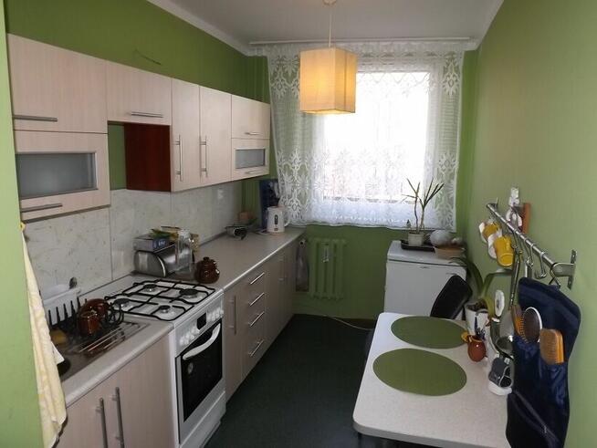 Sosnowiec, ul. Legionów, mieszkanie na wynajem