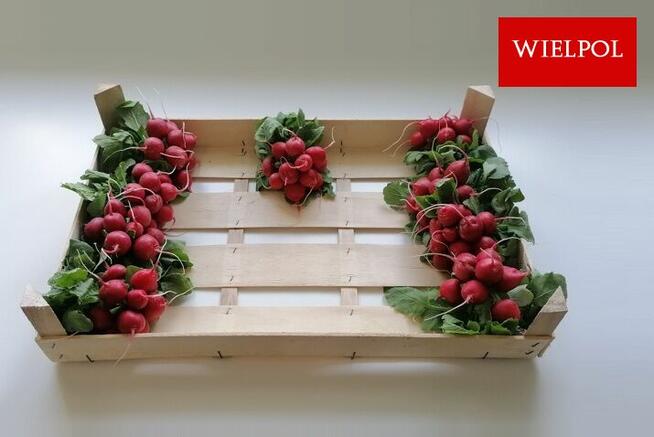 Skrzynki drewniane na rzodkiewki / Łuszczki do rzodkiewki