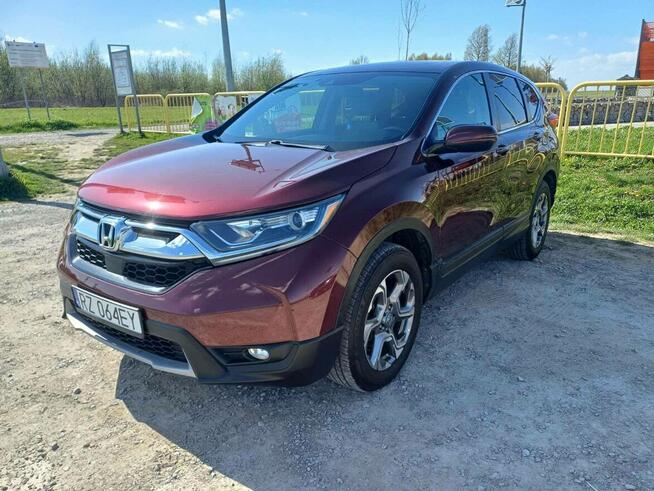 HONDA CR-V 2019 sprzedam lub zamienię