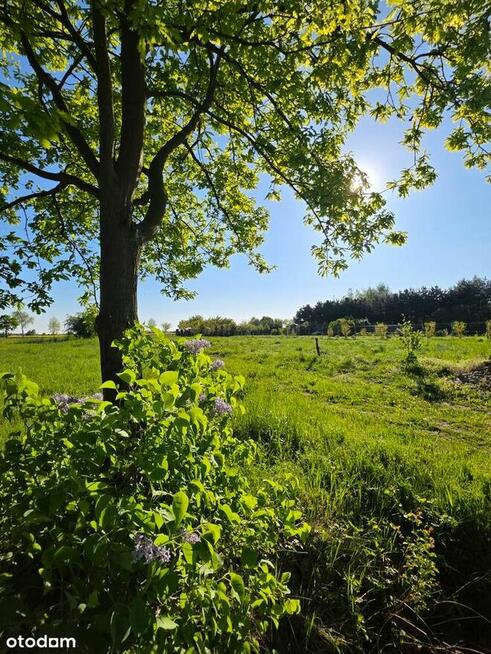 Działka budowlana w Dryżynie - blisko Głogowa!