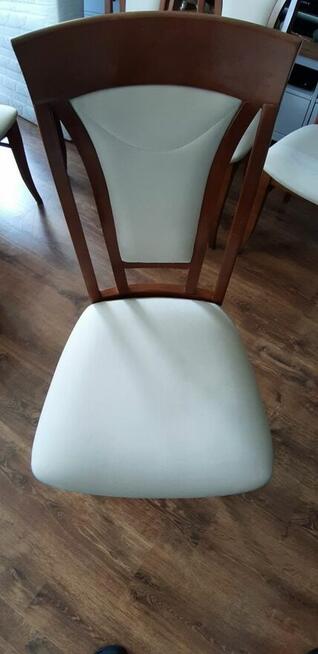 Turboszczotka – pranie tapicerki, które odmienia wnętrza