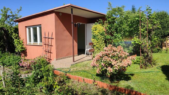 Sprzedam działkę ROD Rumin k/Konina