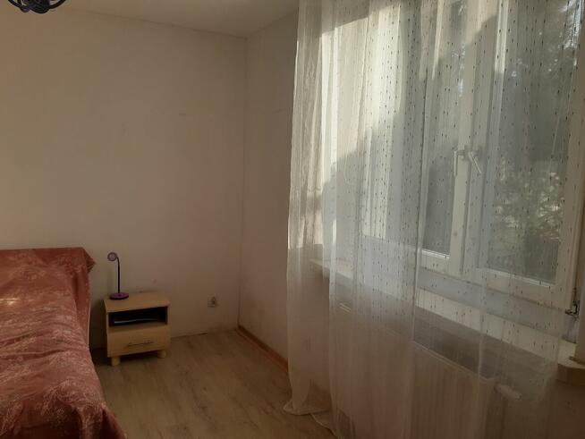 DOM ZE STAJNIĄ, NA DUŻEJ DZIAŁCE ZAGRODOWEJ