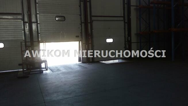 Lokal użytkowy Skierniewice