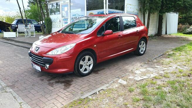 Peugeot 307 1,6 HDI z Niemiec Zarejestrowany Ladny kolor climatronic Zamiana !