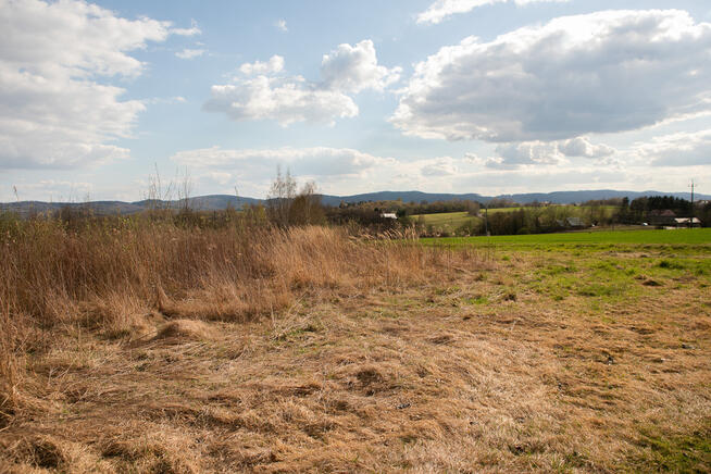 Działka rolno-budowlana w Ryglicach - 1,14 ha!
