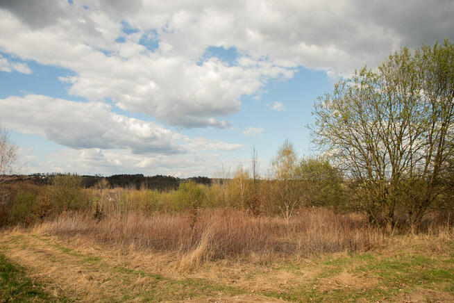Działka rolno-budowlana w Ryglicach - 1,14 ha!