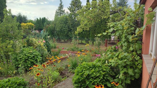 Sprzedam działkę ROD Rumin k/Konina