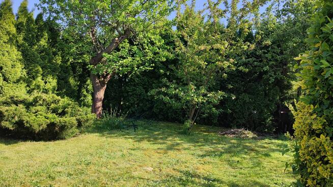 Sprzedam działkę ROD Rumin k/Konina