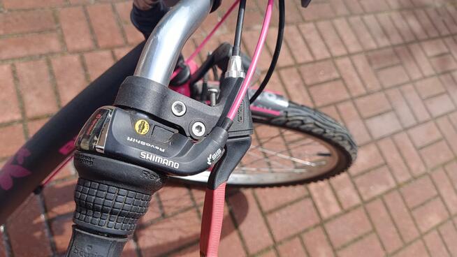 Rower d twin Decathlon 24