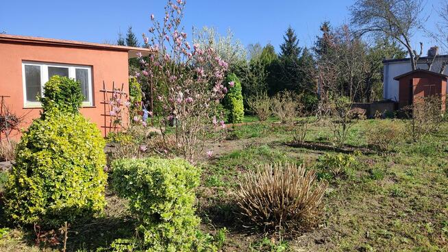 Sprzedam działkę ROD Rumin k/Konina