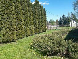 DOM ZE STAJNIĄ, NA DUŻEJ DZIAŁCE ZAGRODOWEJ