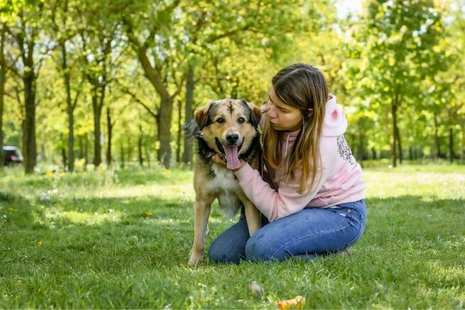 Mango- cudowny, młody piesek do adopcji