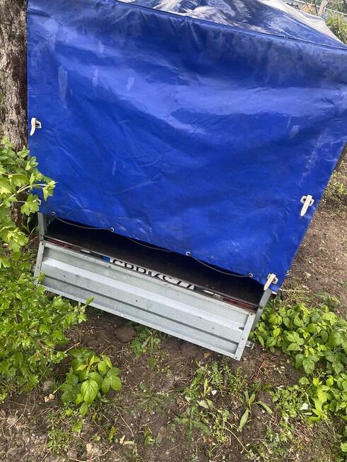 Sprzedam przyczepkę Neptun