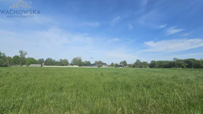 Działka rolno-budowlana Obłotne gm. Sulechów