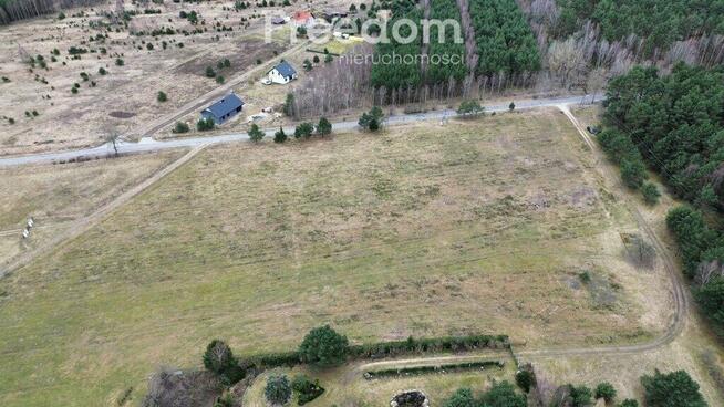 Na sprzedaż kompleks działek w Pleceminie 90zł/m2!