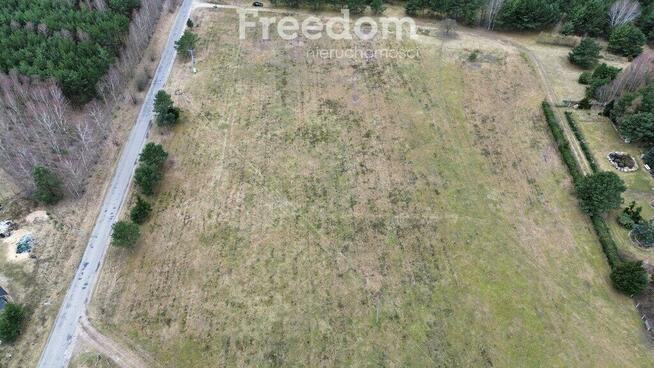 Na sprzedaż kompleks działek w Pleceminie 90zł/m2!
