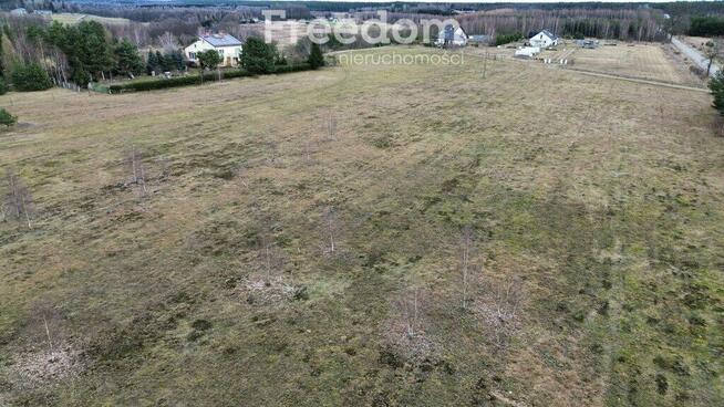 Na sprzedaż kompleks działek w Pleceminie 90zł/m2!