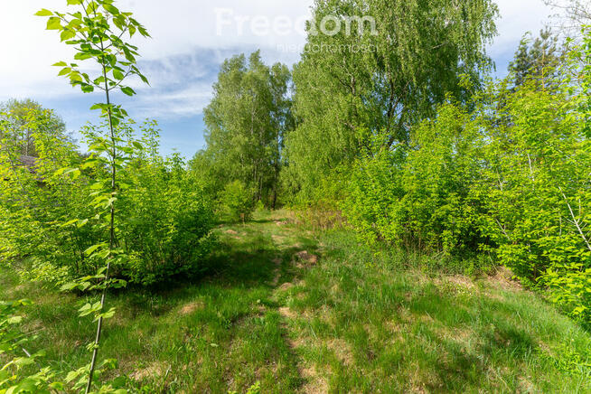 Atrakcyjna działka inwestycyjna Komorniki