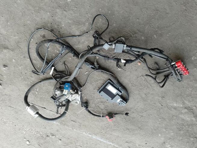 Kompletna Instalacja Gazowa Sekwencyjna*TECH-204*4 Cylindry.