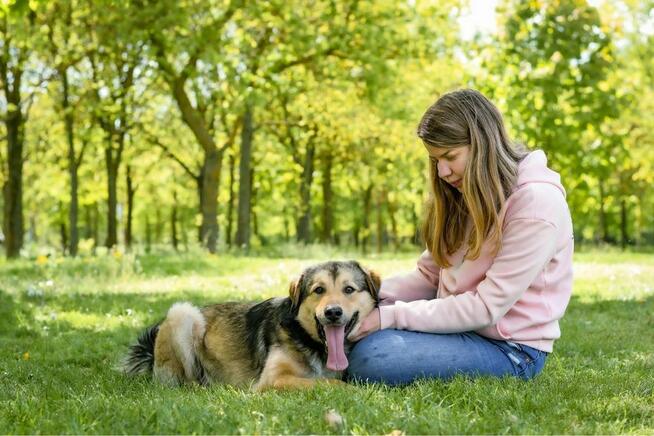 Mango- cudowny, młody piesek do adopcji
