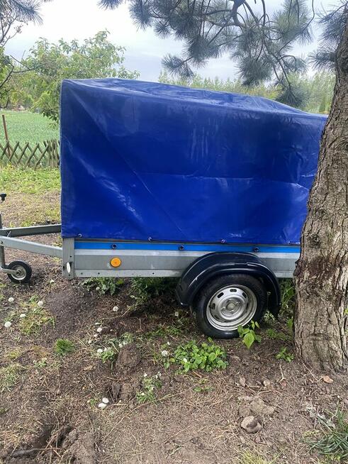 Sprzedam przyczepkę Neptun