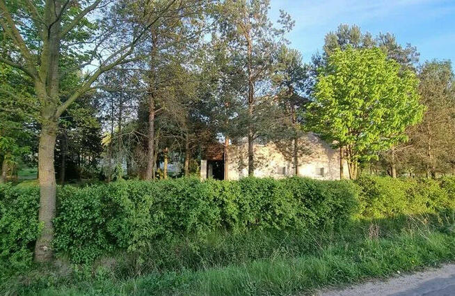 Sprzedam dom na wsi Broniszewice