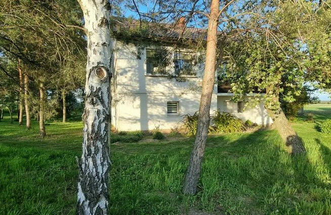 Sprzedam dom na wsi Broniszewice