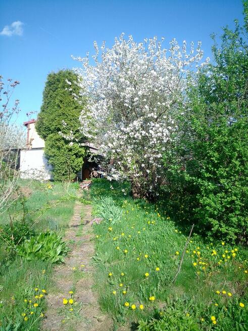 Działka rekreacyjna R.O.D. \\JARZĘBINA\