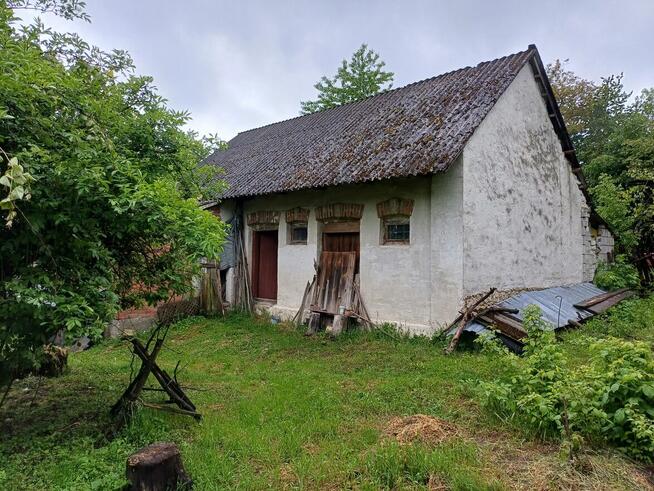 Sprzedam 3,69 ha gospodarstwo rolne, siedlisko