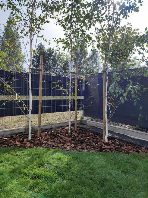 Profesjonalne Usługi Ogrodnicze | Trawniki, Przycinanie,