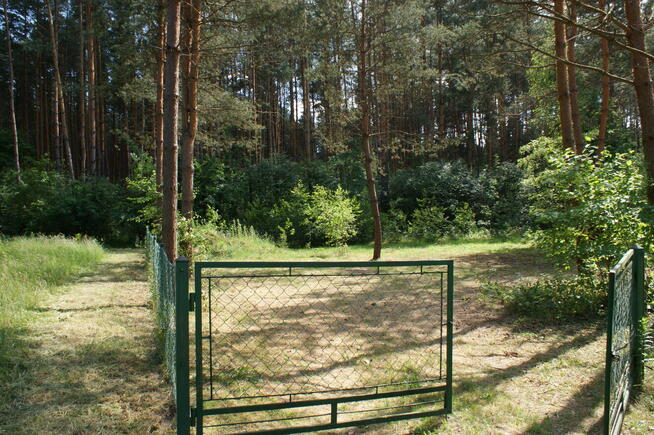 Sprzedam działkę rekreacyjną 29a w Czerwonej Woli, Sieniawa