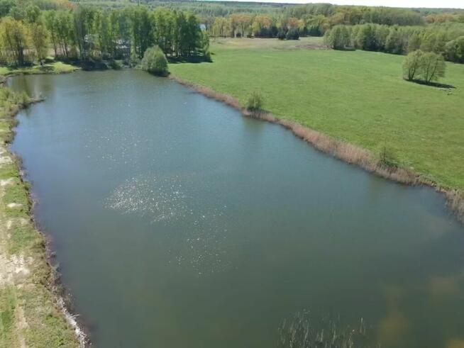 Zainwestuj w ciszę i przestrzeń – działka / staw - Namysłów