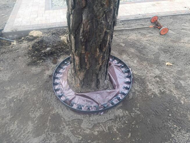 Profesjonalne Usługi Ogrodnicze | Trawniki, Przycinanie,