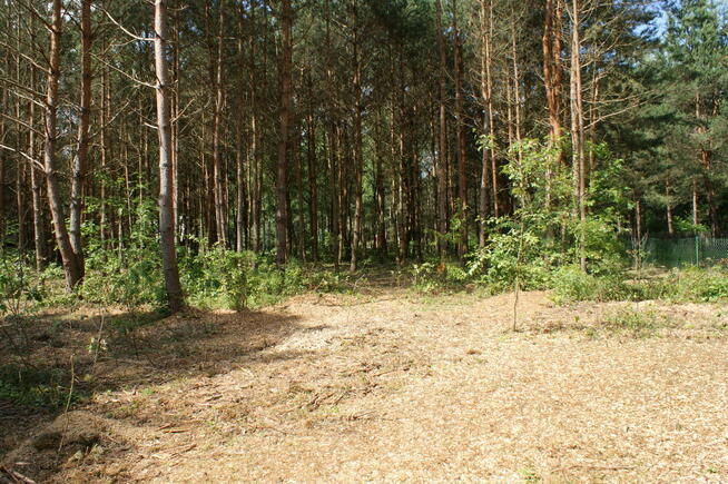 Sprzedam działkę rekreacyjną 29a w Czerwonej Woli, Sieniawa