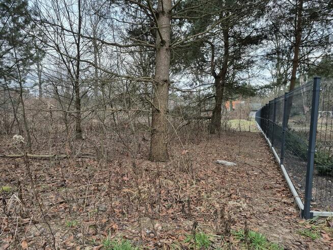 Działka budowlana Boryszew gm. Wiązowna