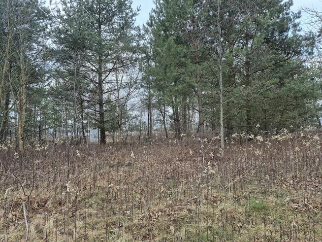 Działka budowlana Boryszew gm. Wiązowna