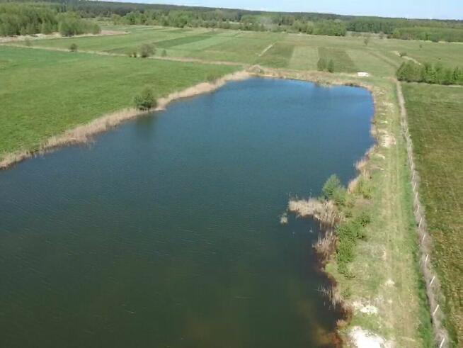Zainwestuj w ciszę i przestrzeń – działka / staw - Namysłów