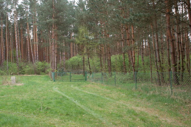 Sprzedam działkę rekreacyjną 29a w Czerwonej Woli, Sieniawa