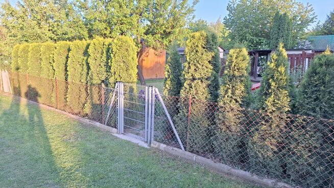 Działka rekreacyjna ROD