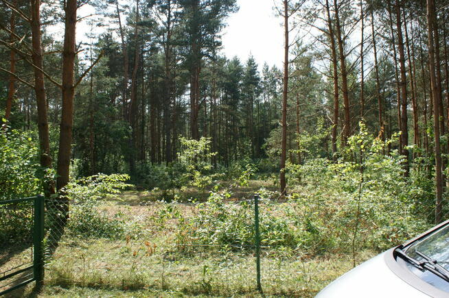 Sprzedam działkę rekreacyjną 29a w Czerwonej Woli, Sieniawa