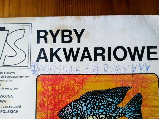 IS album naklejki ryby akwariowe