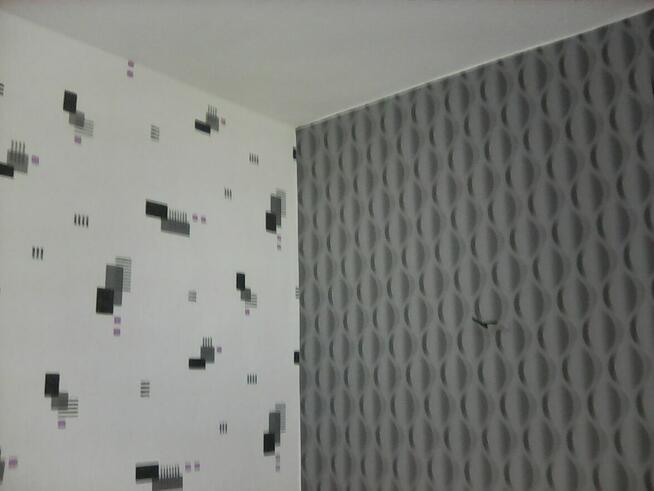 malarz-tapeciarz ,szuka stałych zleceń