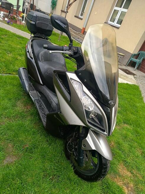 skuter KYMCO Dink Street 125 (bez prawka, wystarczy kat. b.)