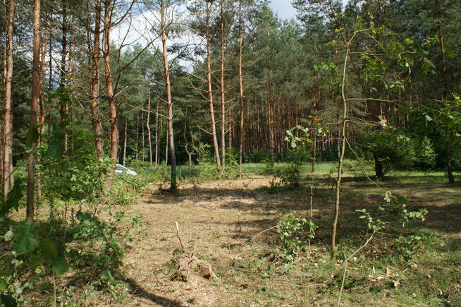 Sprzedam działkę rekreacyjną 29a w Czerwonej Woli, Sieniawa