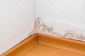 osuszanie odgrzybianie iniekcja krystaliczna KATOWICE okolic